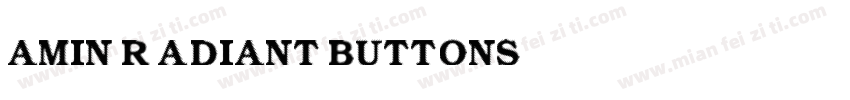 Amin Radiant Buttons字体转换